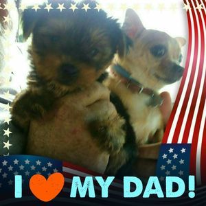 Meet your Posher, Rick